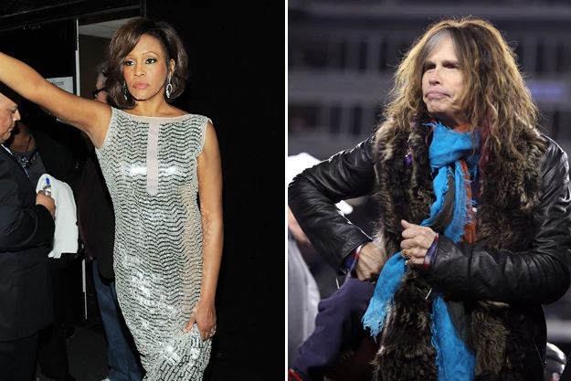 Whitney Houston / Steven Tyler Whitney Houston / Steven Tyler