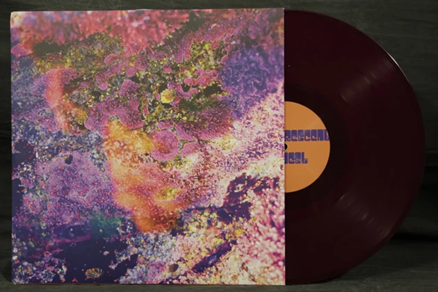 Chris Robinson Brotherhood - 'Phosphorescent Harvest' - Vinyl Chris Robinson Brotherhood - 'Phosphorescent Harvest' - Vinyl